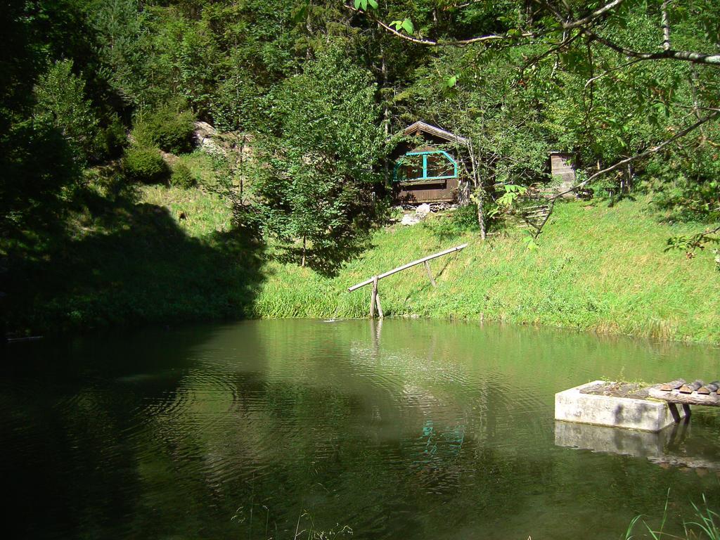 Untersteinhof Appartement Forstau  Buitenkant foto