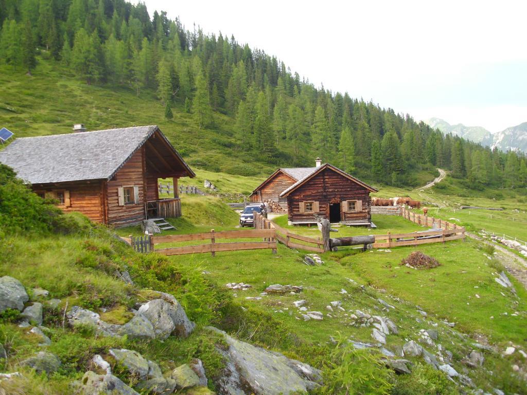 Untersteinhof Appartement Forstau  Buitenkant foto
