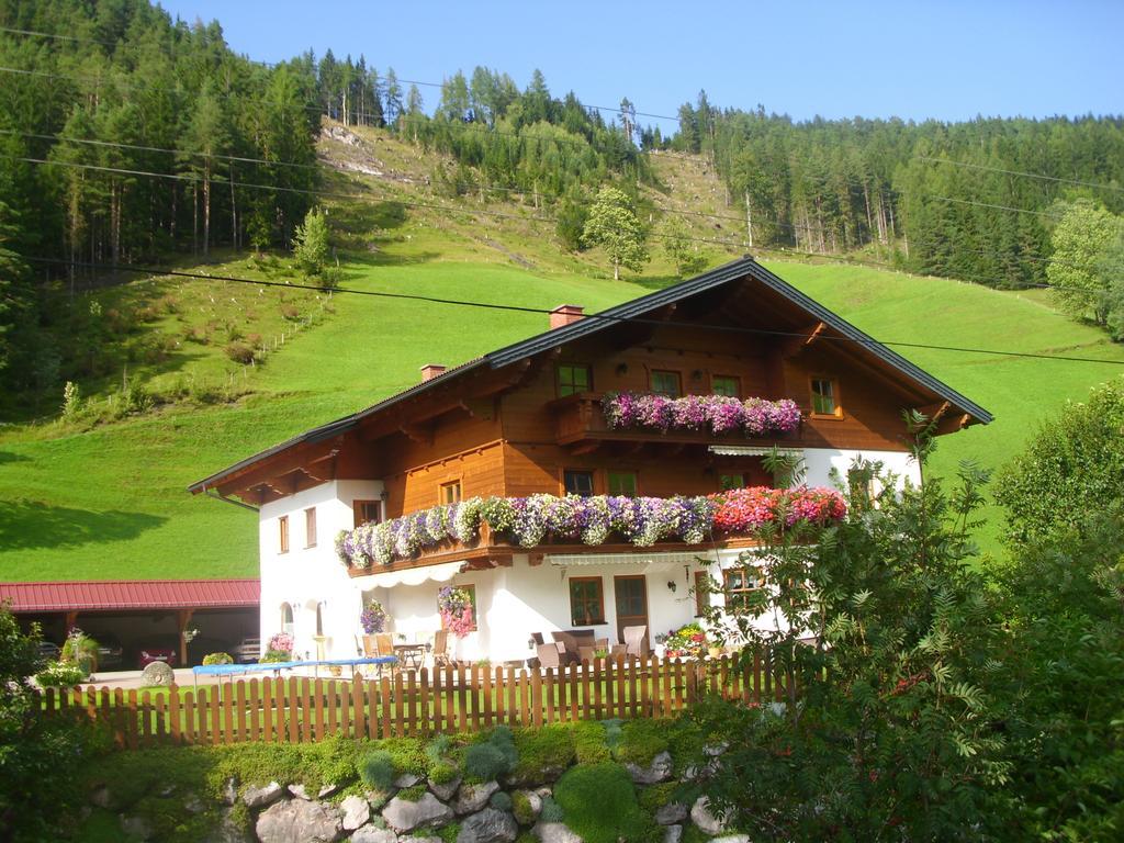 Untersteinhof Appartement Forstau  Buitenkant foto